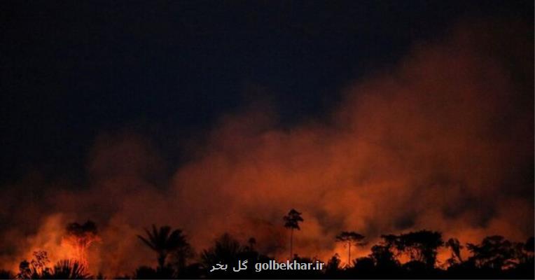 گسترش آتشسوزی ها در جنگل های آمازون برزیل