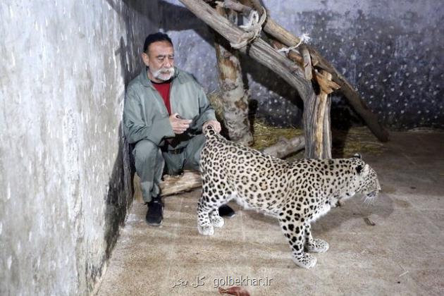 عکس این مرد ۷۰۰ حیوان در خانه اش نگهداری می کند اگر قاچاقچی بودم که در این کشور ۴۳ سال مدیر نبودم