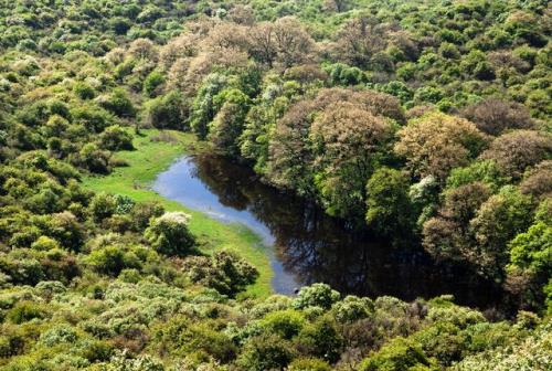 وضعیت شکننده اکوسیستم های جنگلی کشور و نیاز فوری به یافتن راه های پایدار جهت حفاظت ازذخائرموجود