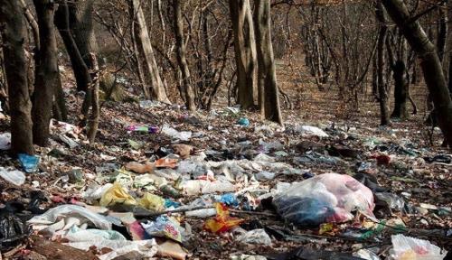 تصویری باورنکردنی از زباله های بیمارستانی در ساحل خزر خبرساز شد