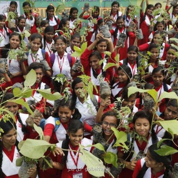 كاشت ۲۲۰ میلیون اصله درخت در هند در یك روز