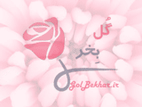 گرد و غبار عراق به خوزستان می رسد