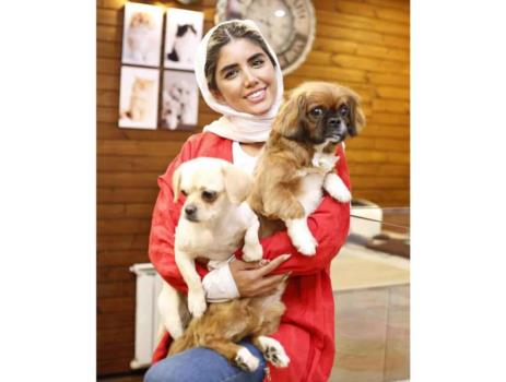 آموزش اصلاح سگ تریر