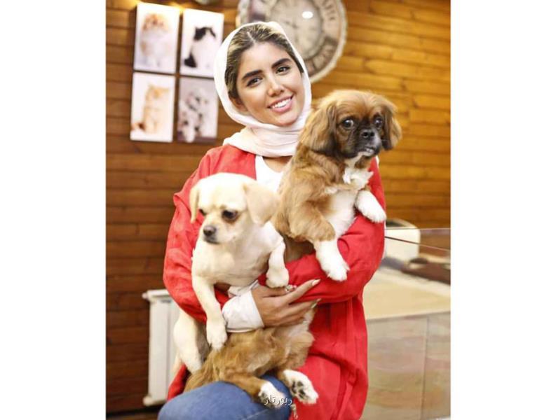 آموزش اصلاح سگ تریر