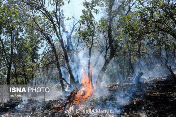 كندی مهار آتشسوزی منطقه حفاظت شده دیل گچساران به علت وزش باد شدید