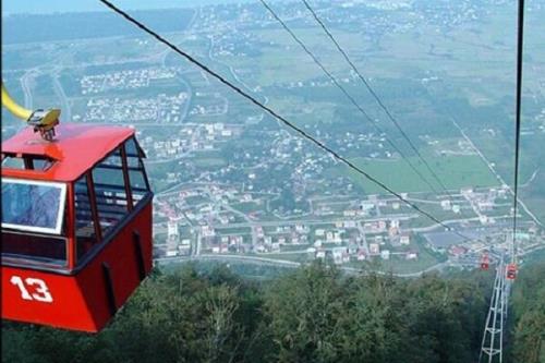 ساخت تله كابین در جنگل ناهارخوران متوقف شود