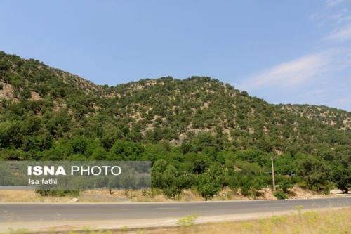 حفاظت از جنگلها نیازمند همکاری تمام دستگاه هاست