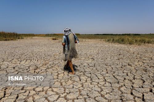 تشنگی هورالعظیم در بین اختلاف نظر دستگاه ها