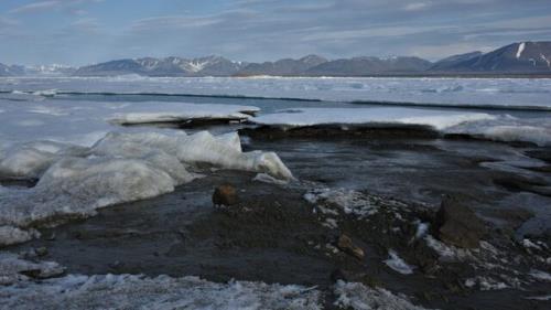 کشف شمالی ترین جزیره جهان در ساحل گرینلند