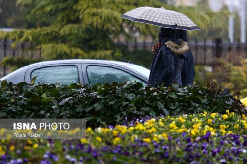 آخر هفته بارانی برخی استان ها