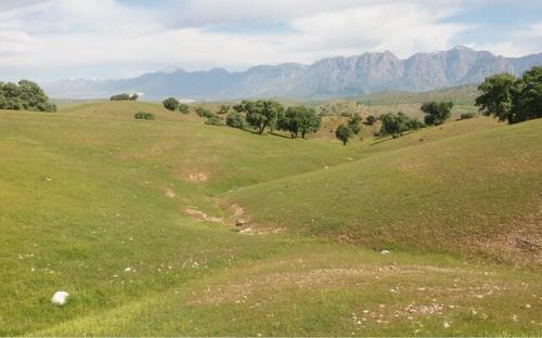 31 هزار هکتار از اراضی حریم شهرها به منابع طبیعی بازگشت