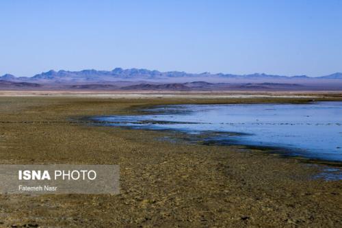 تأثیر رطوبت و دما در تالاب گاوخونی بر خرد اقلیم منطقه
