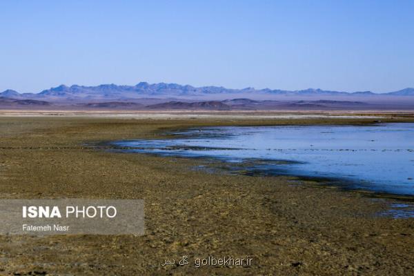 تأثیر رطوبت و دما در تالاب گاوخونی بر خرد اقلیم منطقه