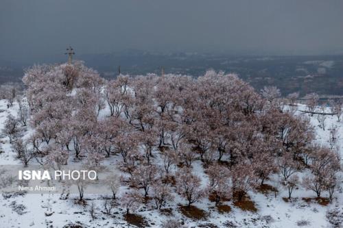 برف و باران در شمال کشور