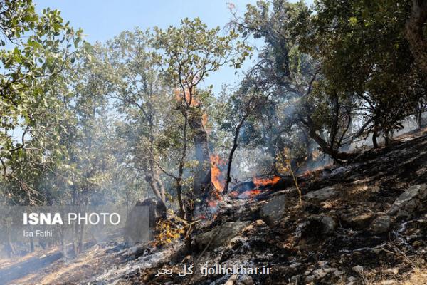وضعیت آتش سوزی عرصه های طبیعی تهران از مهرماه