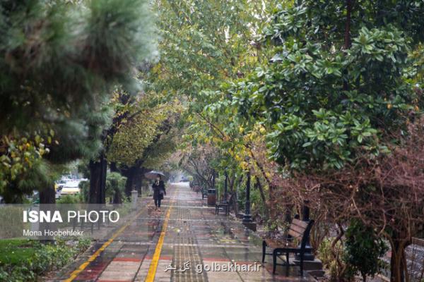 بارش باران در ۱۴ استان