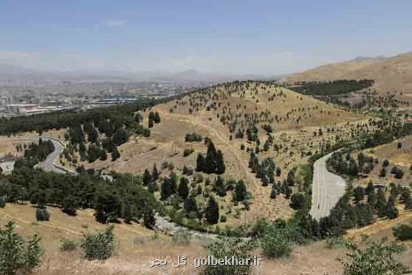 کاشت نهال به یاد شهدای آتش نشان در سرخه حصار