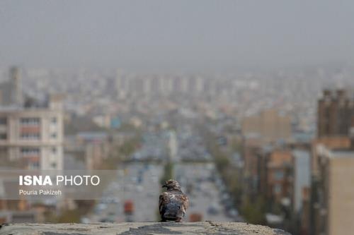 خیزش گرد و خاک و کاهش کیفیت هوا در نیمه جنوبی وغرب تهران