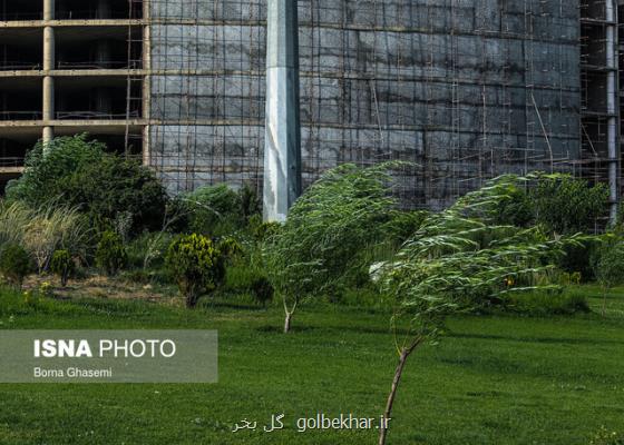 وزش باد نسبتا شدید و خیزش گرد وخاک در جنوب تهران