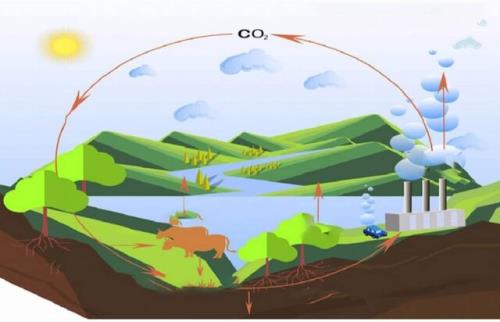 کربن آبی چیست؟