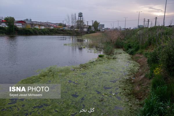 ۱۶ نکته درباره ی اهمیت تالاب ها