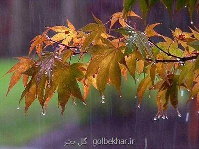 بارش باران در بعضی استانهای کشور