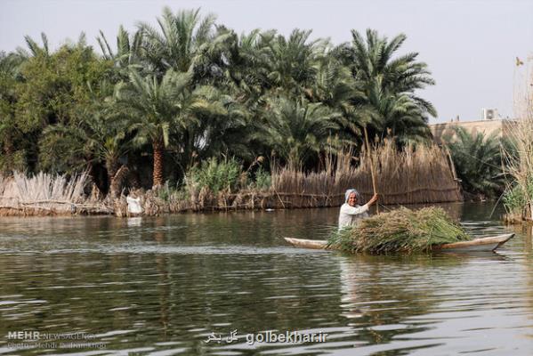 صدور دستور توقف راه اندازی یک طرح پتروشیمی در تالاب شادگان