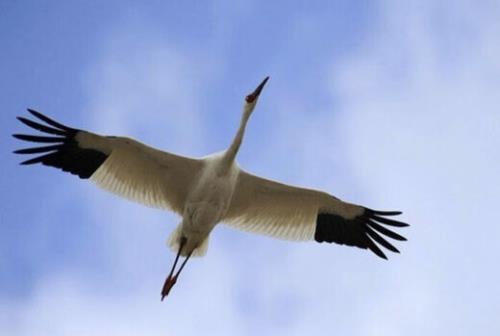 امید تنها نیست