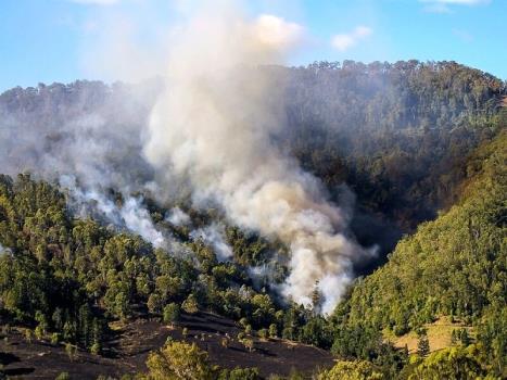 آتشسوزی جنگل های مریوان برای سومین روز متوالی