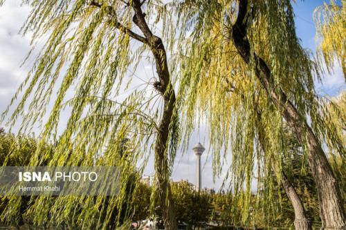 کاهش دمای تهران تا چهارشنبه