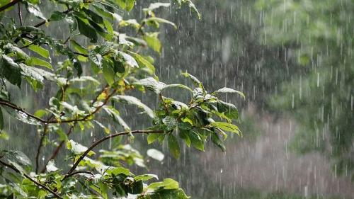 پیشبینی افزایش بارش ها از نیمه دوم مهر در کشور