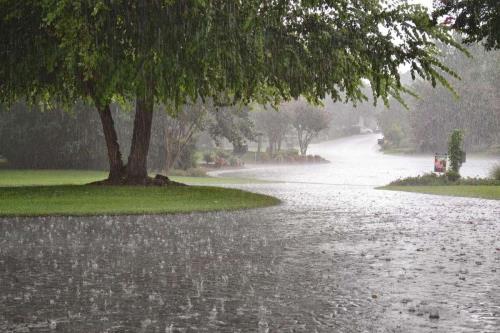 بارش باران در ۱۲ استان پیش بینی وضعیت هوا طی روزهای آینده