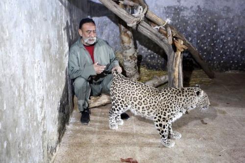 عکس این مرد ۷۰۰ حیوان در خانه اش نگهداری می کند اگر قاچاقچی بودم که در این کشور ۴۳ سال مدیر نبودم