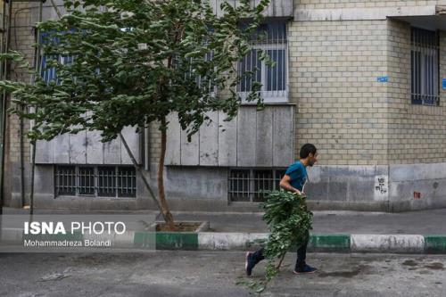 وزش باد شدید در جنوب و غرب تهران