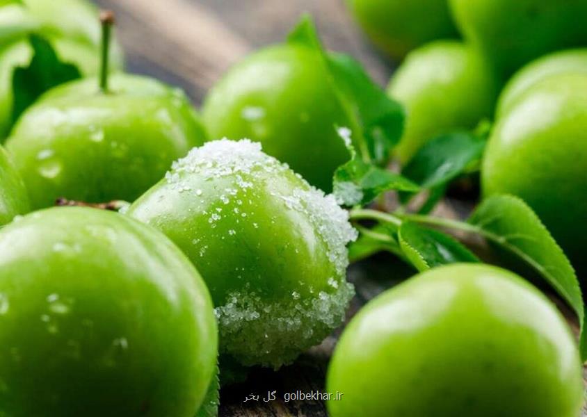 زمرد سبز نوبرانه بهاری باغ های گرمسار برای کشور