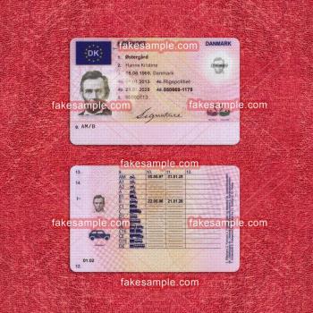 Philippines Driver license Fake Template