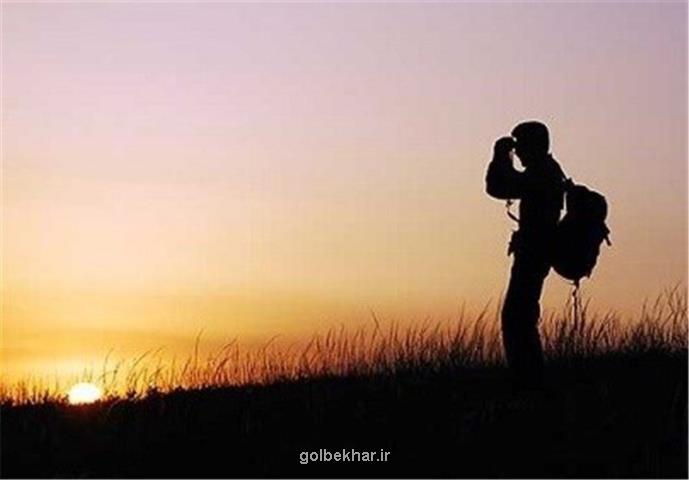 ضرب و شتم محیط بان در تهران، عکس