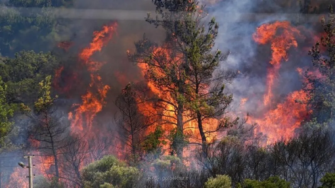 هم اندیشی بین المللی برای خاموش کردن آتشسوزی جنگل های چالوس