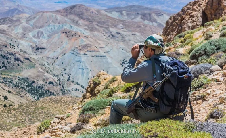شکارچی با شلیک فشنگ چهارپاره بازوی محیط بان فریدونشهری را شکست