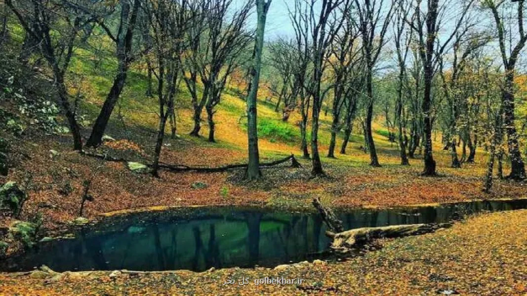 احراز شهادت محیط بانان پارک ملی گلستان
