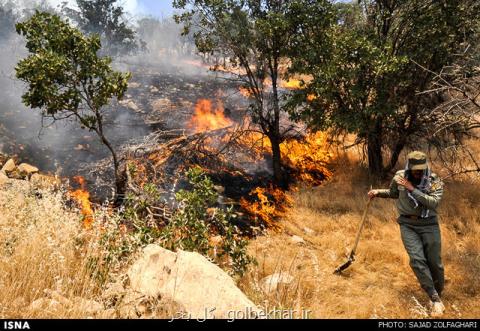 آتش زدن مزارع تهدیدی برای جنگل های گلستان