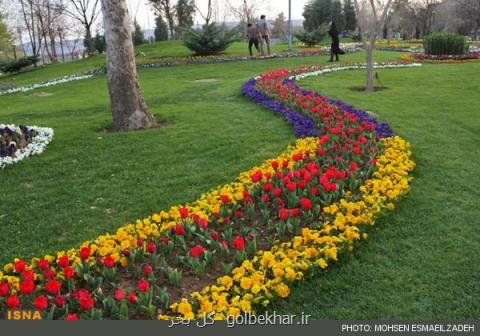 آماده باش تمام ادارات فضای سبز شهر تهران به دنبال شرایط بحرانی هوا