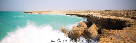 سواحل جنوبی استان بوشهر متلاطم می شود