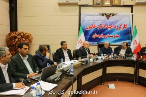 ضرورت استفاده از توان دانشگاه ها جهت احیای تالاب هامون