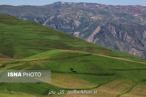 برقراری شرایط جوی پایدار در كشور