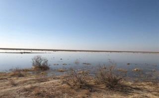 مسئولان به فكر حق آبه تالاب فصلی بند علی خان ورامین باشند