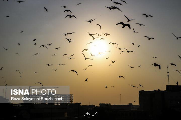 دمای همه استان ها بالای حد نرمال بوده است