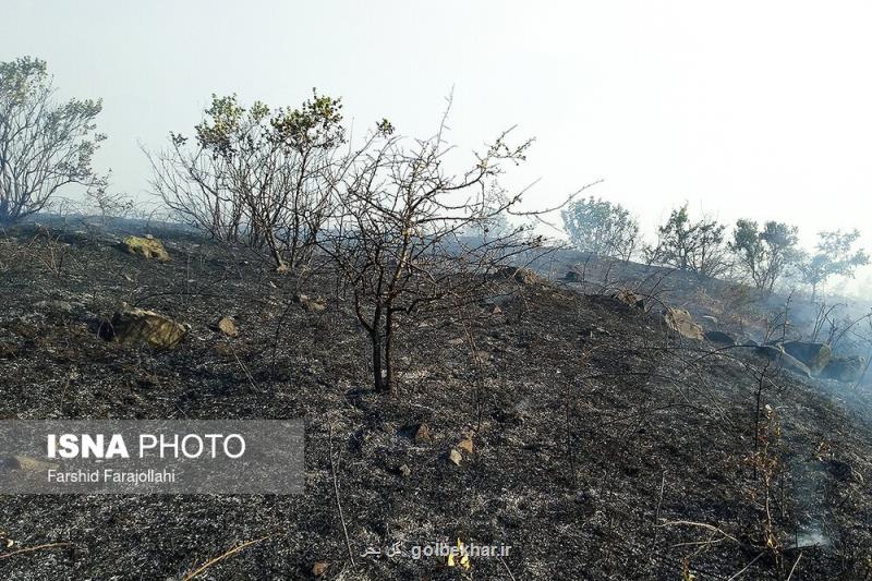 آتش سوزی در جنگل های ارسباران، عكس