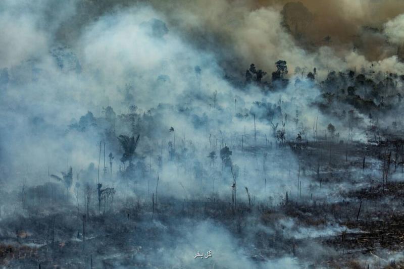 زمین در بحران آتش سوزی از آمازون تا ارسباران