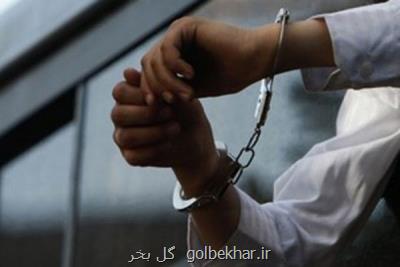 جریمه و زندان برای قطع درخت در حیاط خانه شخصی